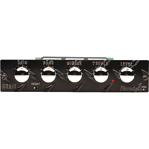 Randall GRA MTS Series Tube Module - George Lynch Signature Lead Module - Grail