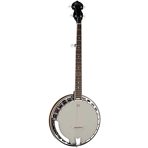 Washburn B11 5-string Banjo with case