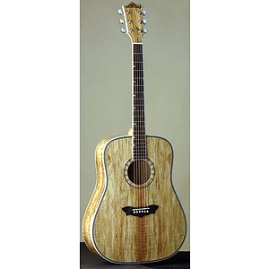 Washburn D46SP Southwestern Acoustic Guitar w/case - Spalted