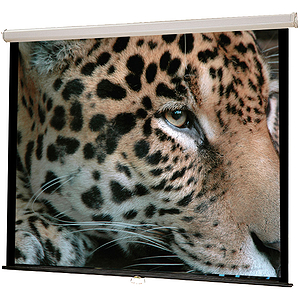 Buhl Wall Screen, 50"x 50", White with Black Borders