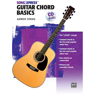 Guitar Theory Basics Guitar Chord Ultimate Beginner Series CD Included