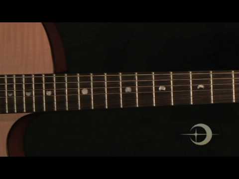 Luna Gypsy Flame Acoustic Guitar - video review