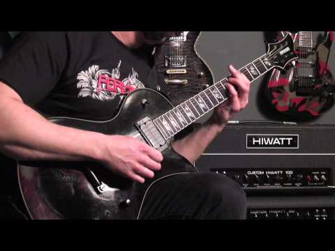 Fernandes Ravelle Elite - Dan Palmer